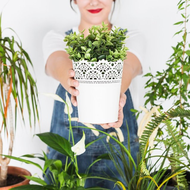 close-up-woman-s-hand-holding-potted-plant_23-2147929444.jpg