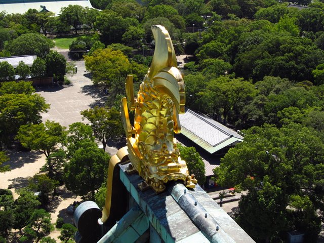 016 Osaka castle (33).JPG