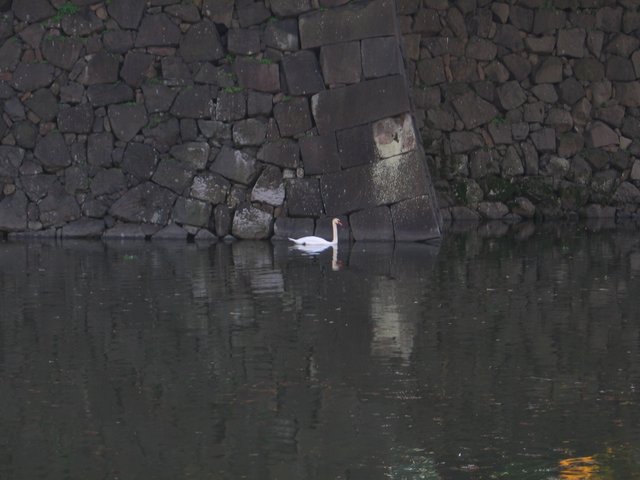 558 around imperial palace.JPG