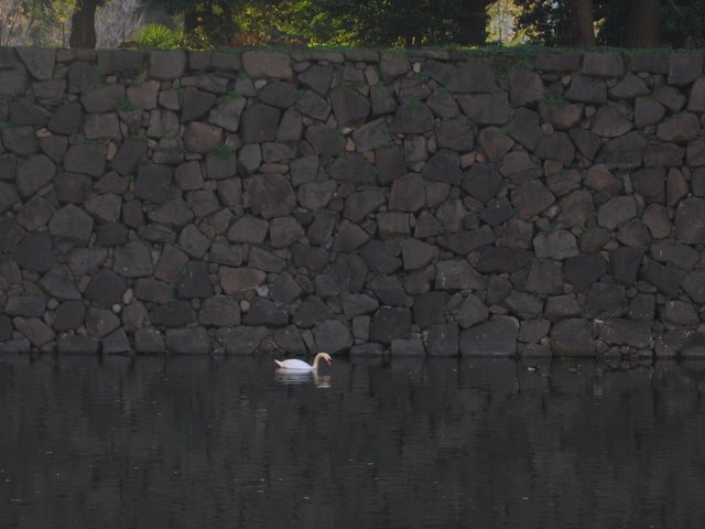 558 around imperial palace (3).JPG