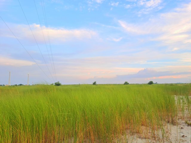 20250827_181353.jpg