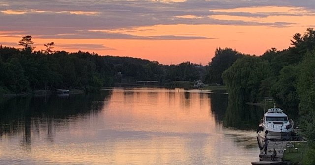 IMG_1802.jpeg
