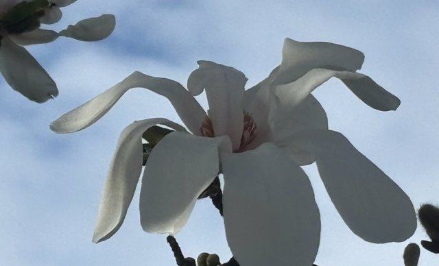 IMG_2553.jpeg