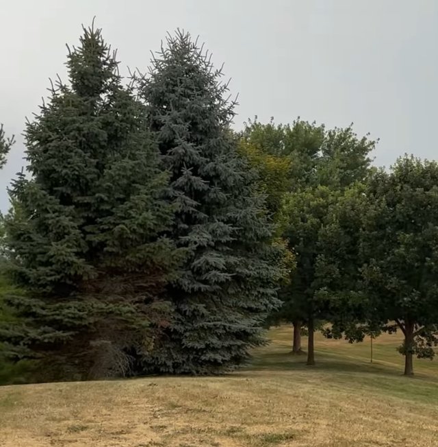 IMG_5992.jpeg