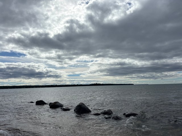IMG_6789.jpeg