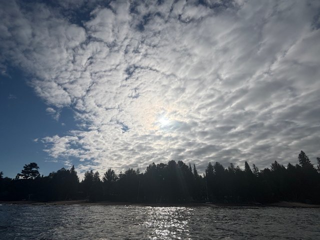 IMG_6526.jpeg