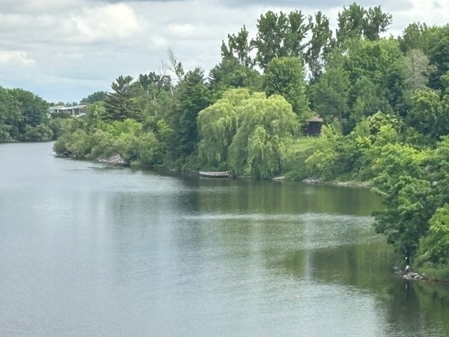 IMG_3949.jpeg