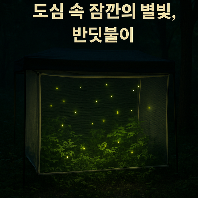 1000025897.png
