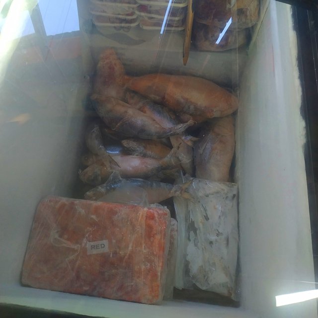 IMG_20250930_203951.jpg