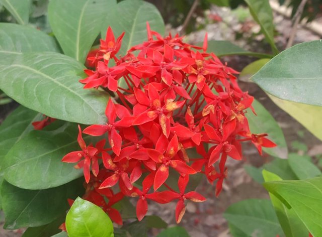 IMG_20250625_203656.jpg