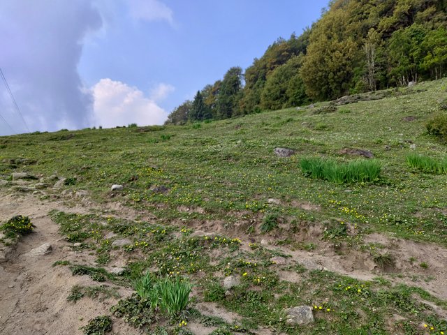IMG_20250609_091620770.jpg