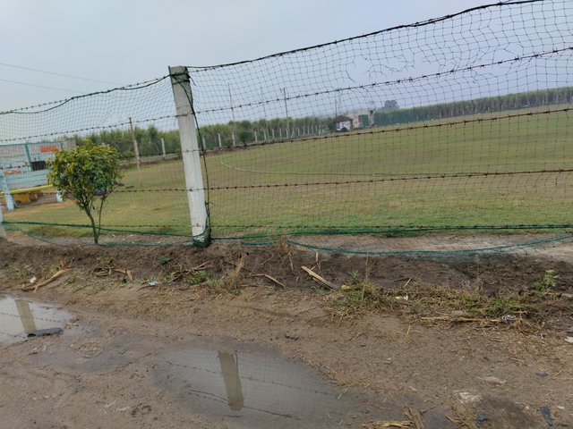 IMG_20240303_080214351.jpg