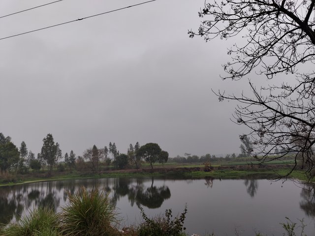 IMG_20240303_074248795.jpg