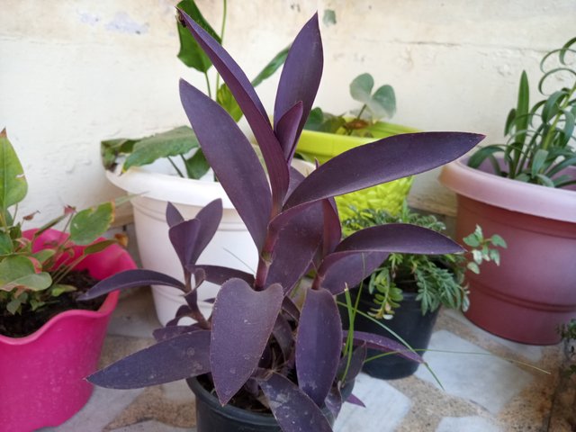 20220503_092153_HDR.jpg