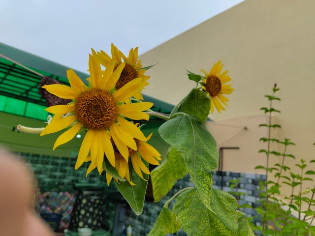 IMG_20250831_105016590.jpg
