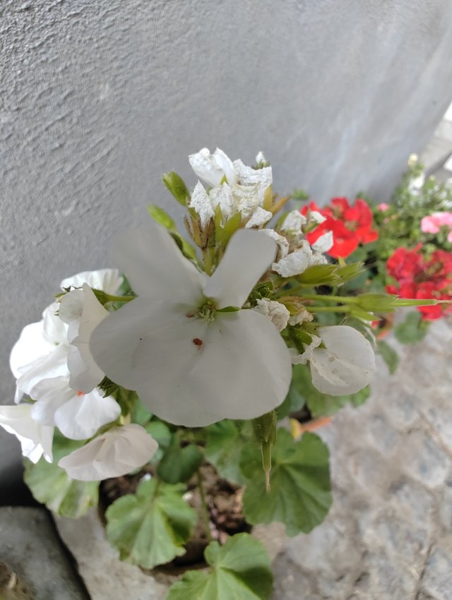 IMG_20230414_083948534.jpg