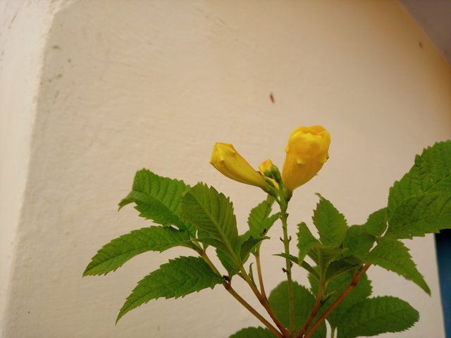 20221102_073643.jpg