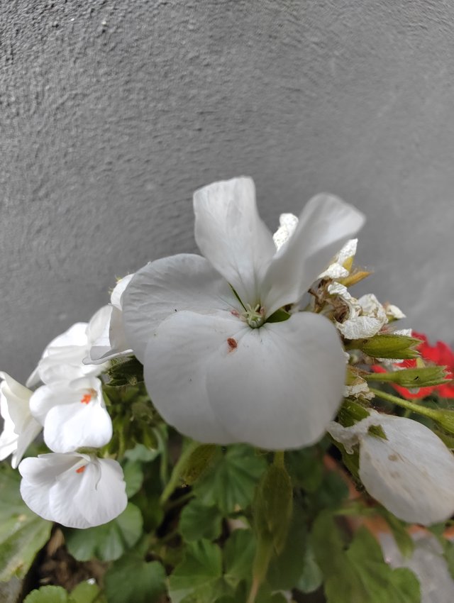 IMG_20230414_083951387.jpg