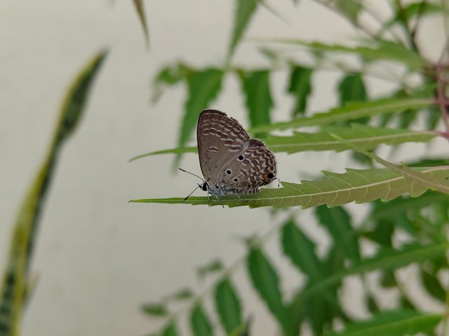 IMG_20250810_104012113.jpg