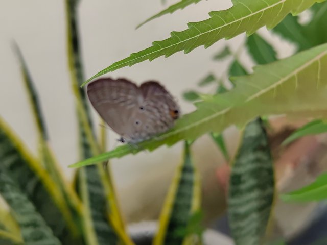 IMG_20250810_104014394.jpg