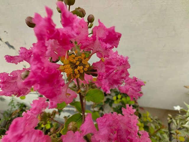 IMG_20250617_071217611.jpg