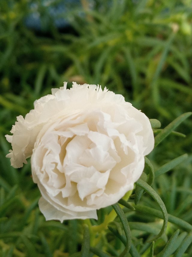 20220503_090908_HDR.jpg