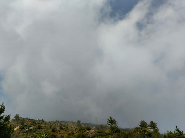 IMG_20250609_085349741.jpg
