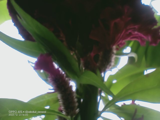 IMG20231223160032.jpg