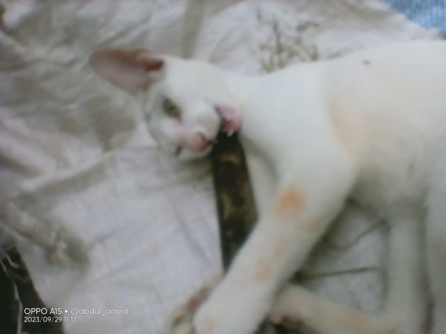 IMG20230929111309.jpg