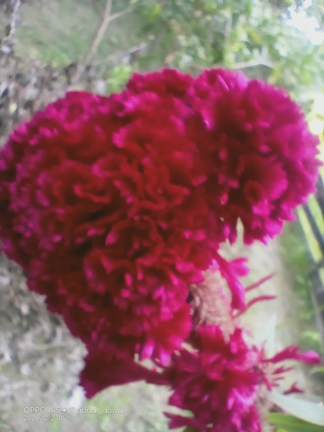 IMG20231223155951.jpg