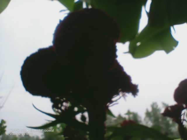 IMG20231223160024.jpg