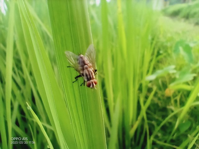IMG20230320173642.jpg