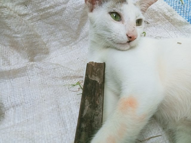 IMG20230929111314.jpg