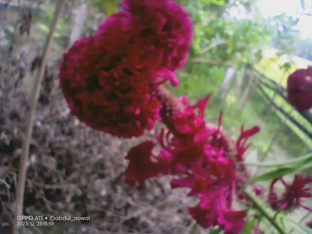 IMG20231223155958.jpg