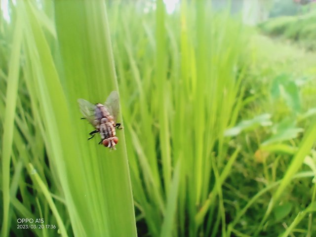 IMG20230320173639.jpg