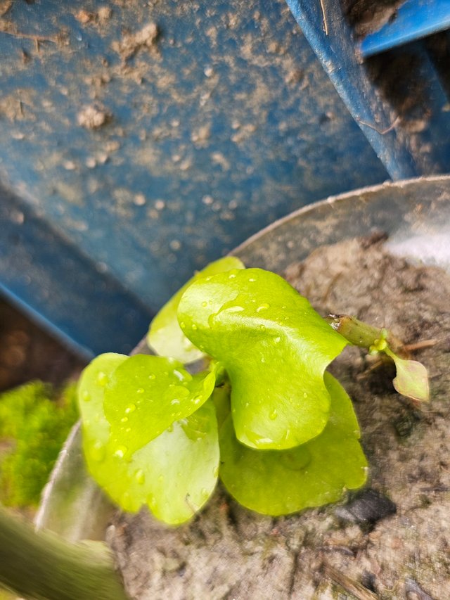 20250725_113154.jpg