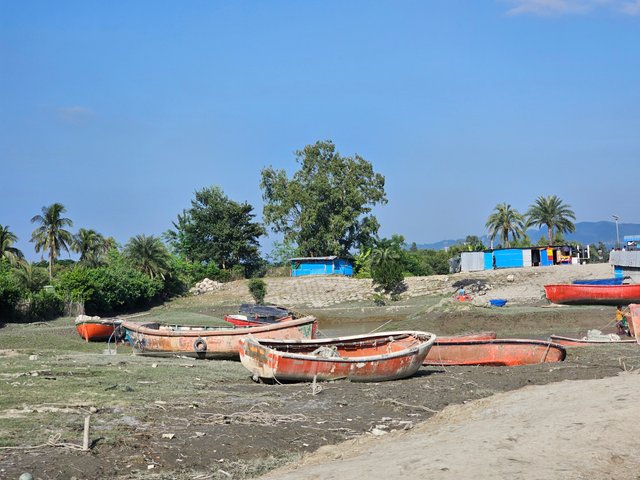 20241115_141726.jpg