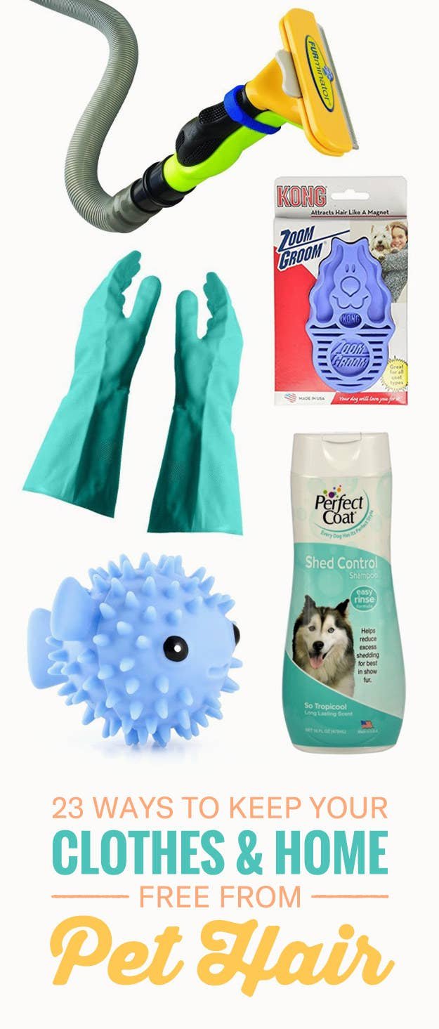 20 Tips And Products That Ll Save You From Being Covered In Pet