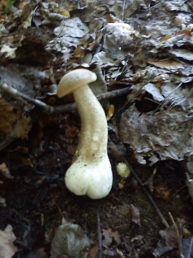 Nature pictures naughty Girls in