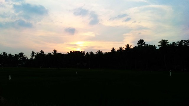 24+ Gambar Pemandangan Alam Sunset - Kumpulan Gambar Pemandangan