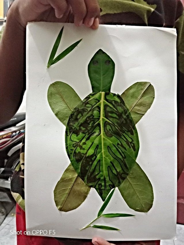 Making A Collage Of Turtles From Leaves Membuat Kolase  Kura