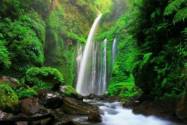 Waterfall Tiu Kelep And Sendang Gile Steemit