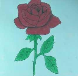 Steem Cartoon Hasil Lukisan Tangan Bunga Mawar Merah Steemit