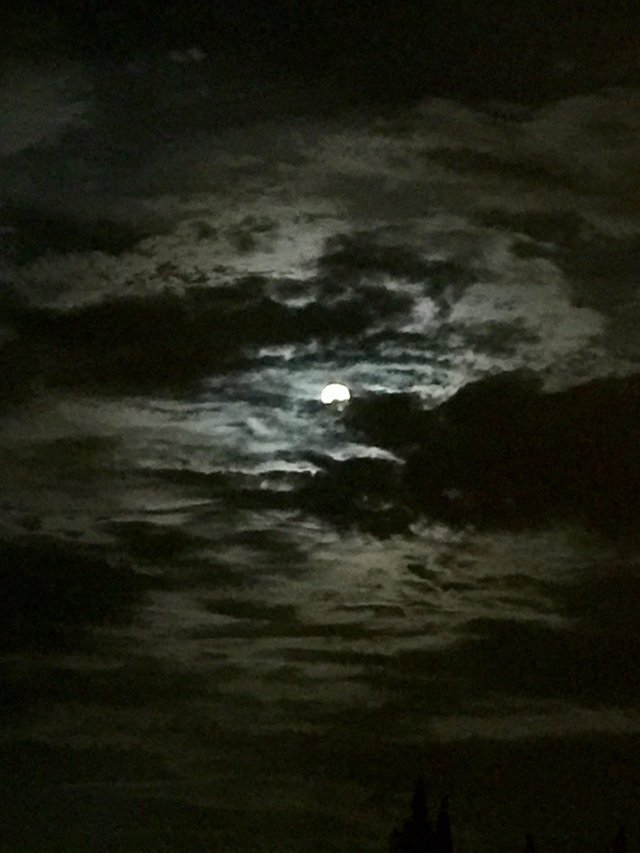 Full Moon - Bad Moon Rising — Steemit