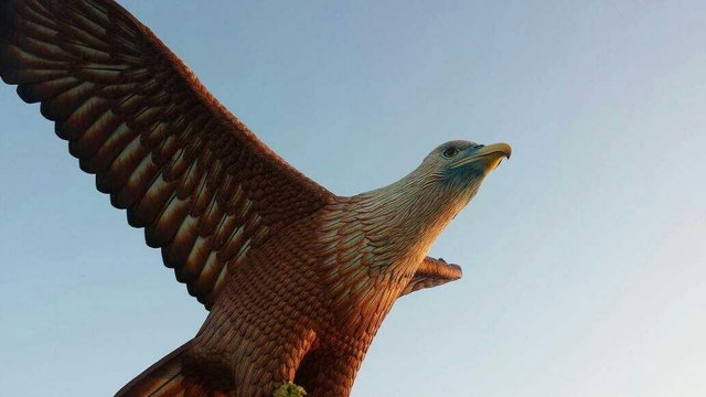 Gambar Burung Langkawi