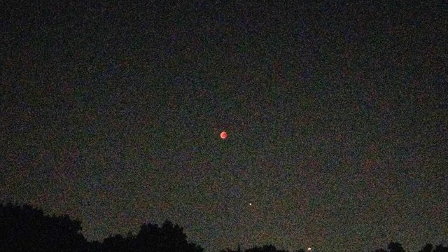 Blood Moon Berlin