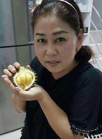 Download 70 Koleksi Gambar Durian Mini Keren Gratis