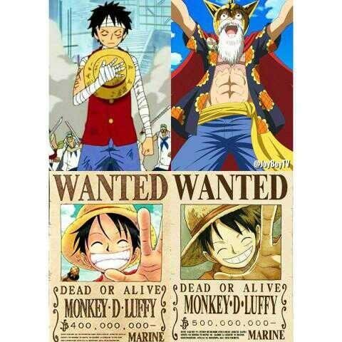 Peningkatan Bounty Luffy — Steemit