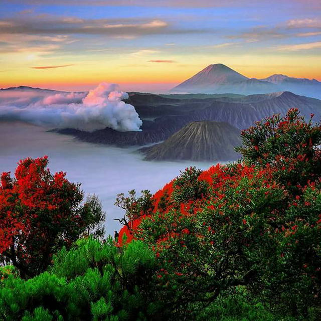 Taman Nasional Bromo Tengger Semeru Jawa Timurbromo