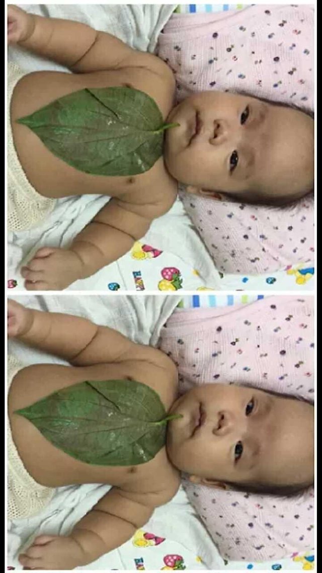 maycintadamayantixibb-betel-leaf-remedy-for-cough